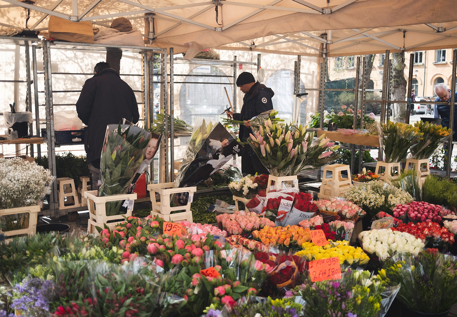 Man trimming flowers