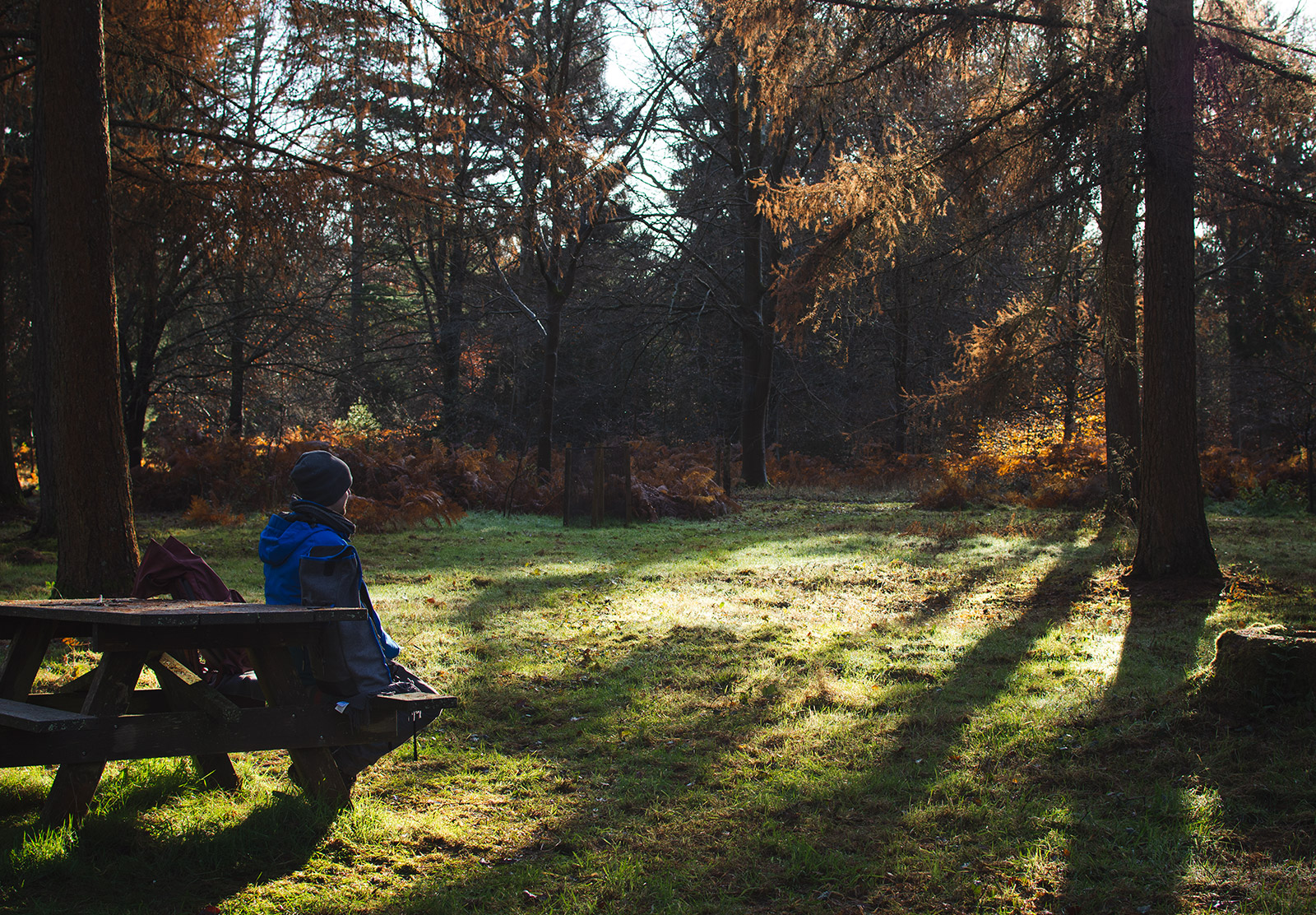 Picnic bench in the sun