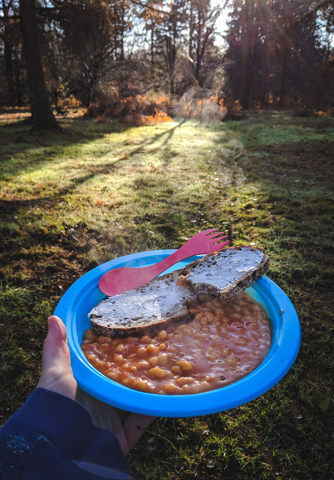 Steaming beans on a plate