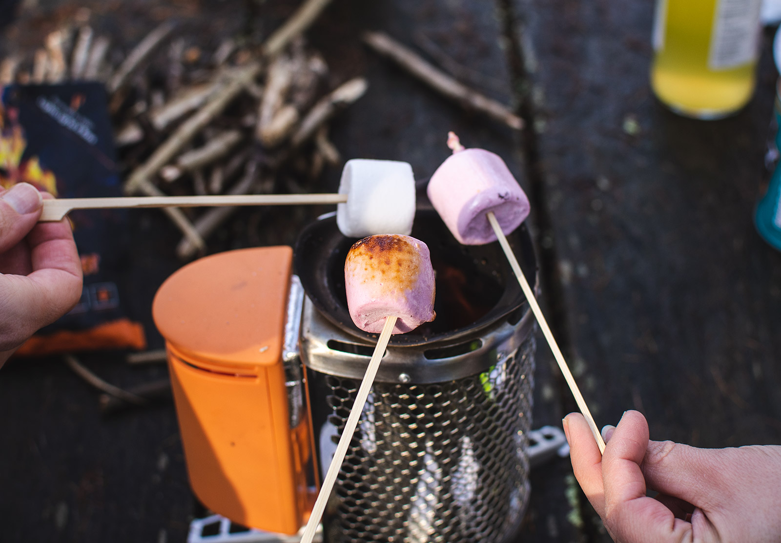 Toasting marshmallows