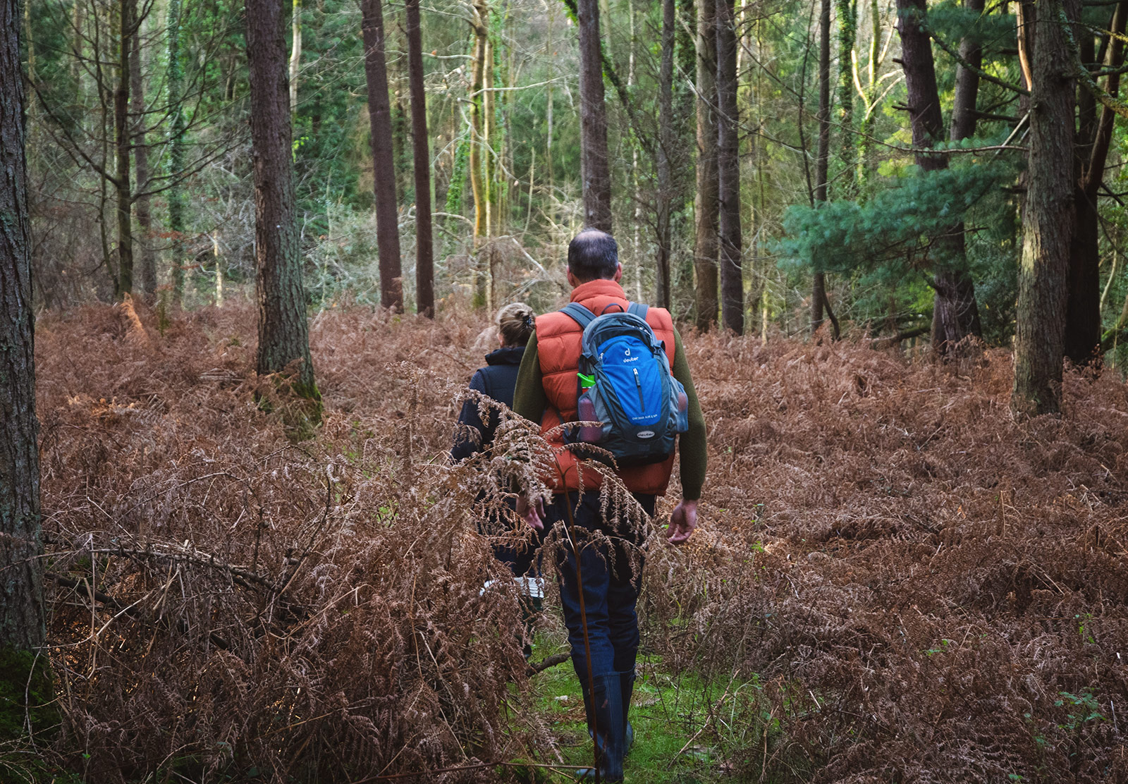 People walking through ferns