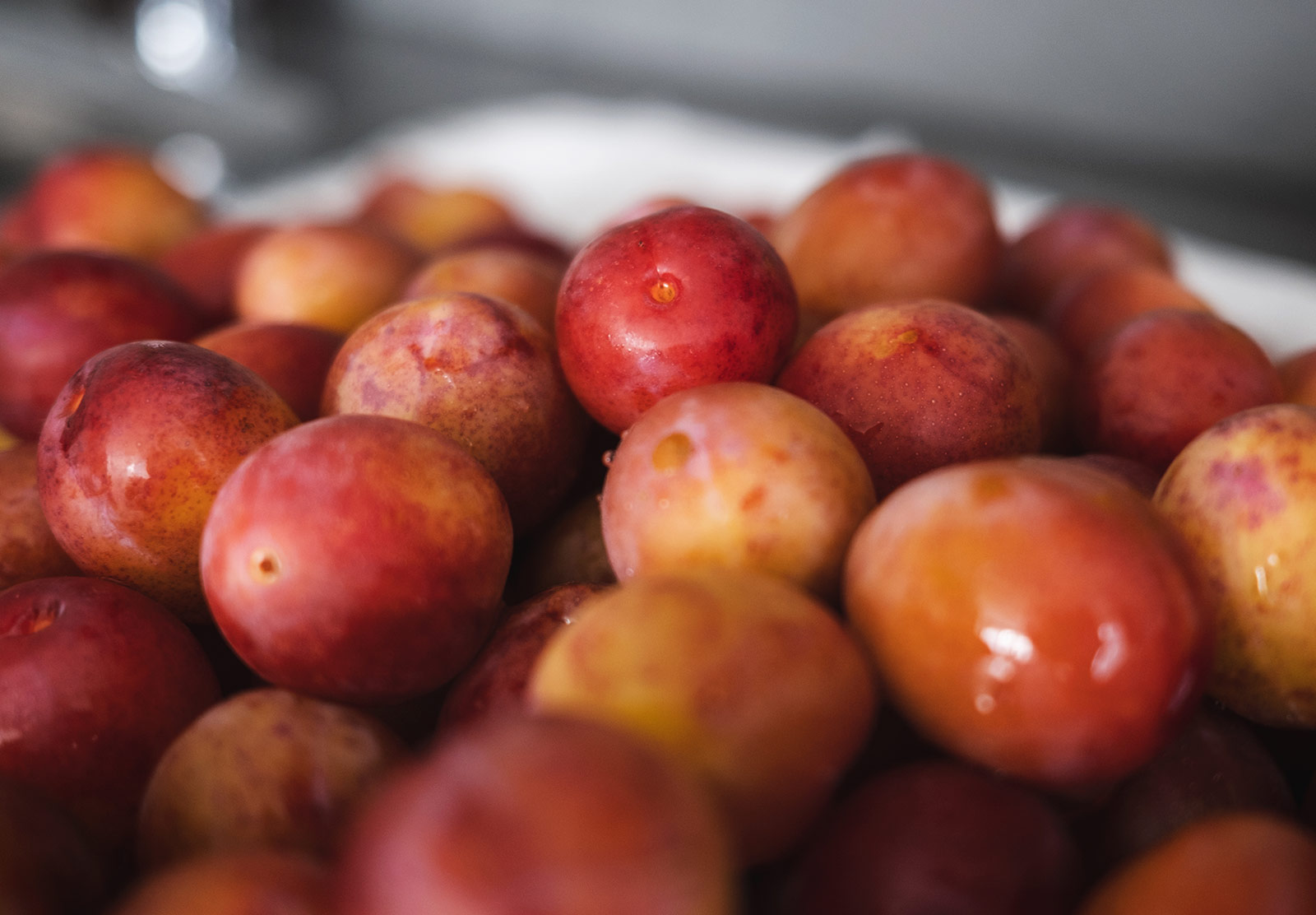 Pile of red plums