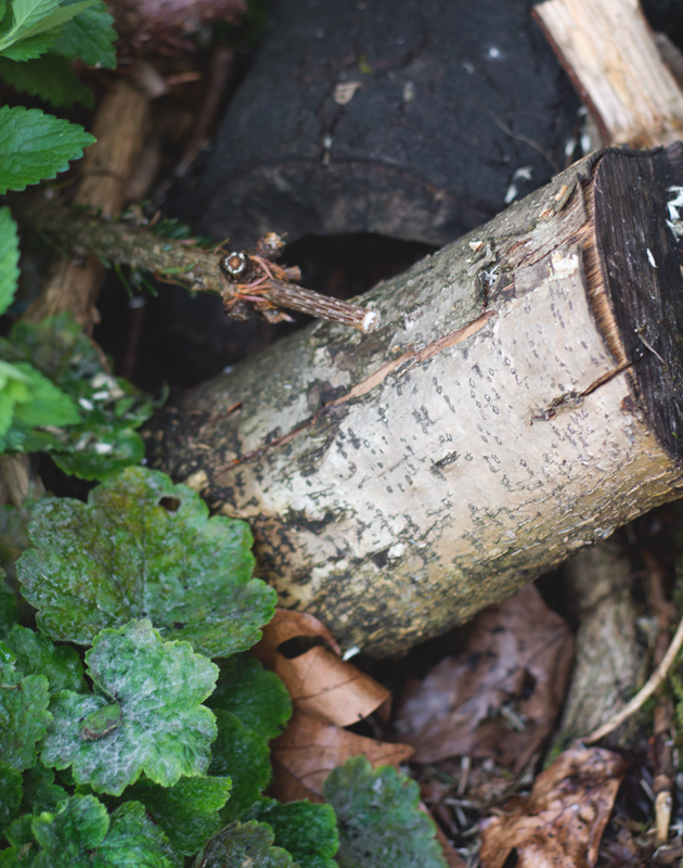 Log pile