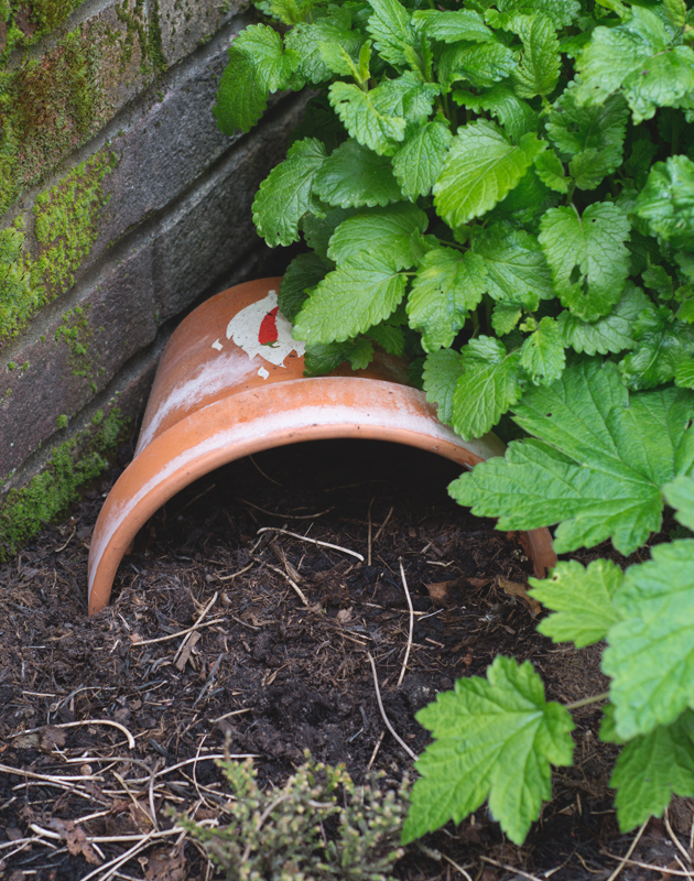 Terracotta pot shelter on soil