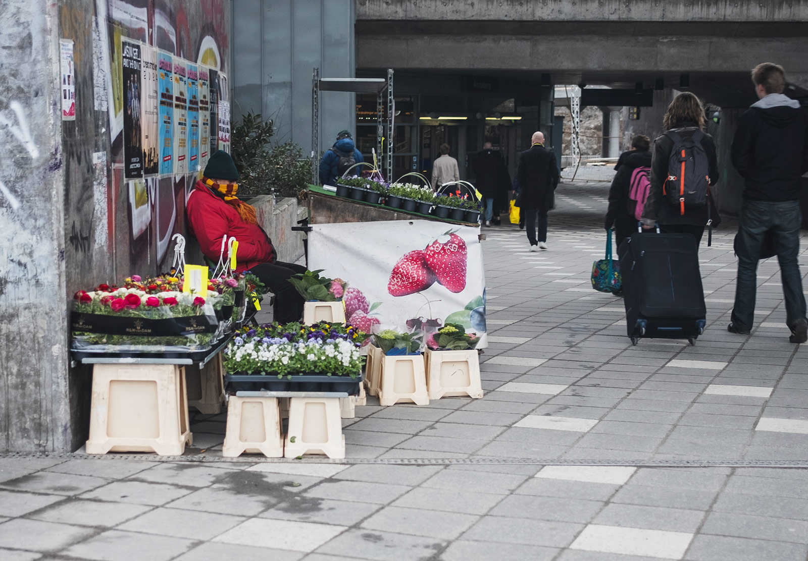 Fruit seller in warm clothes