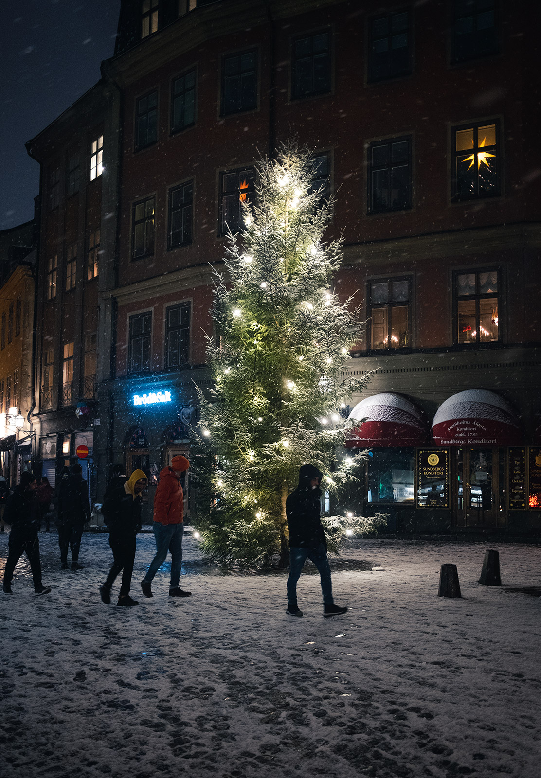 People walking past Christmas tree