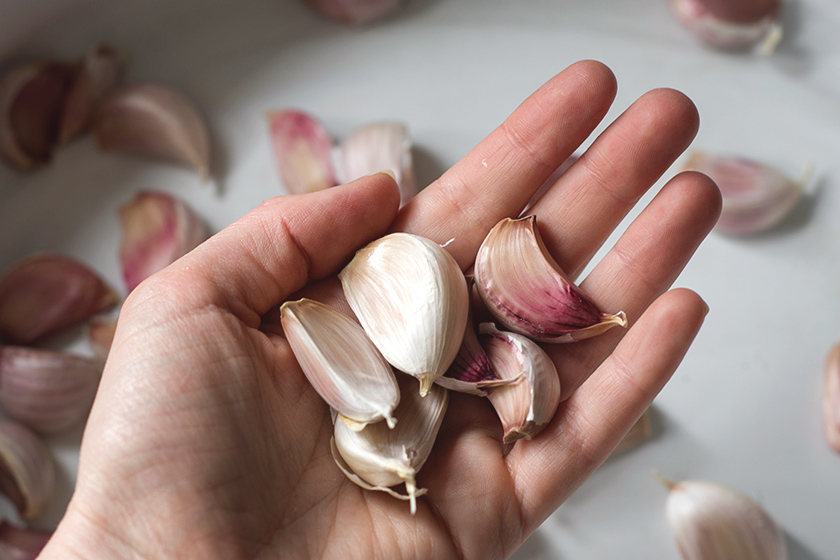 Garlic cloves in hand