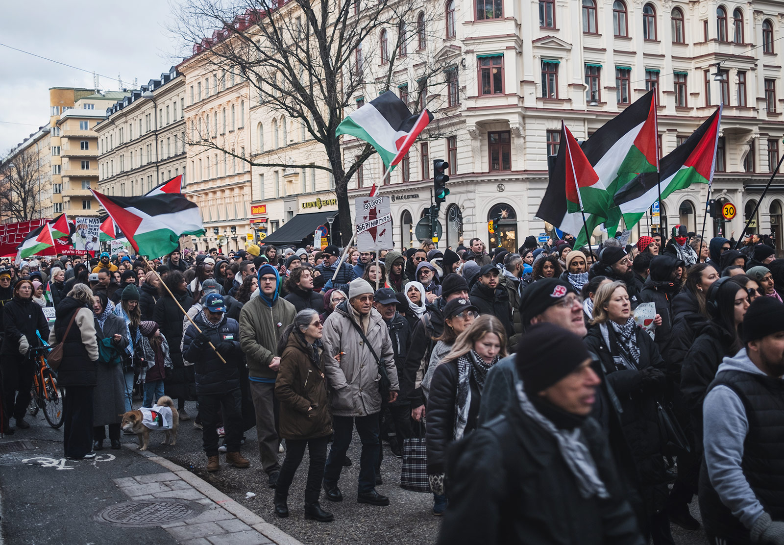 People marching with flags