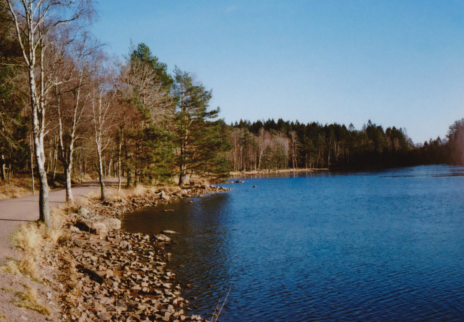 Lake and shore