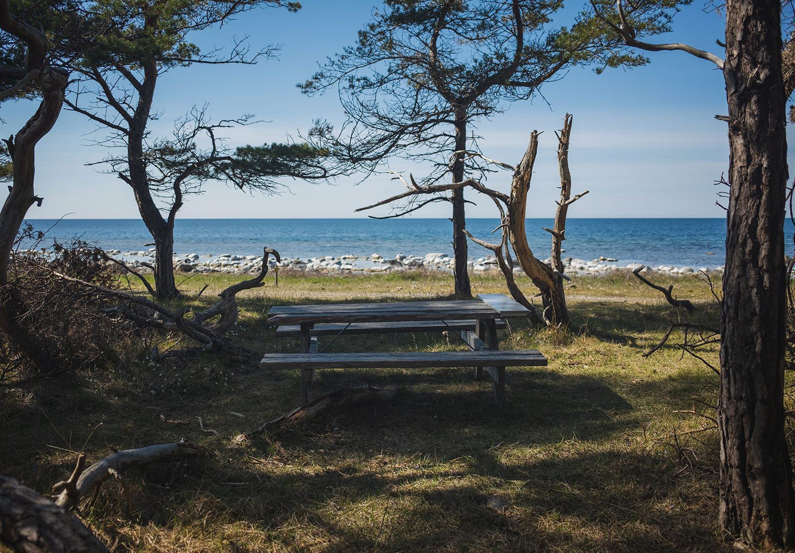 Picnic bench overlooking the sea