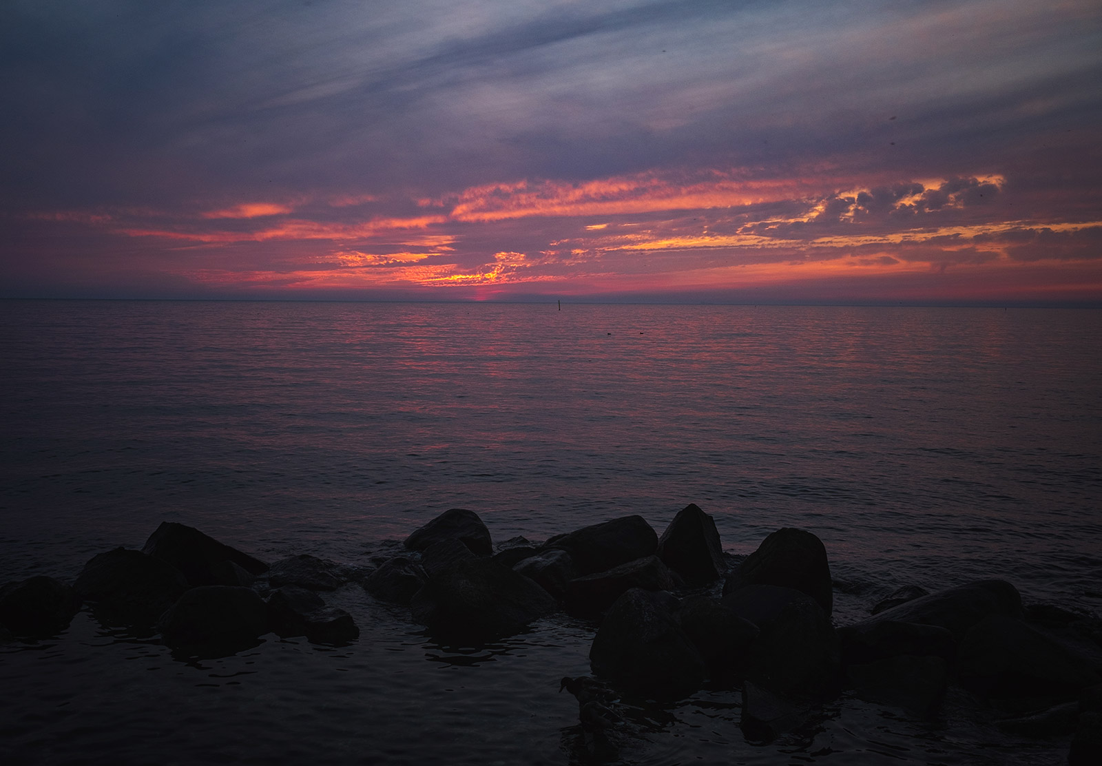 Pink and purple sky