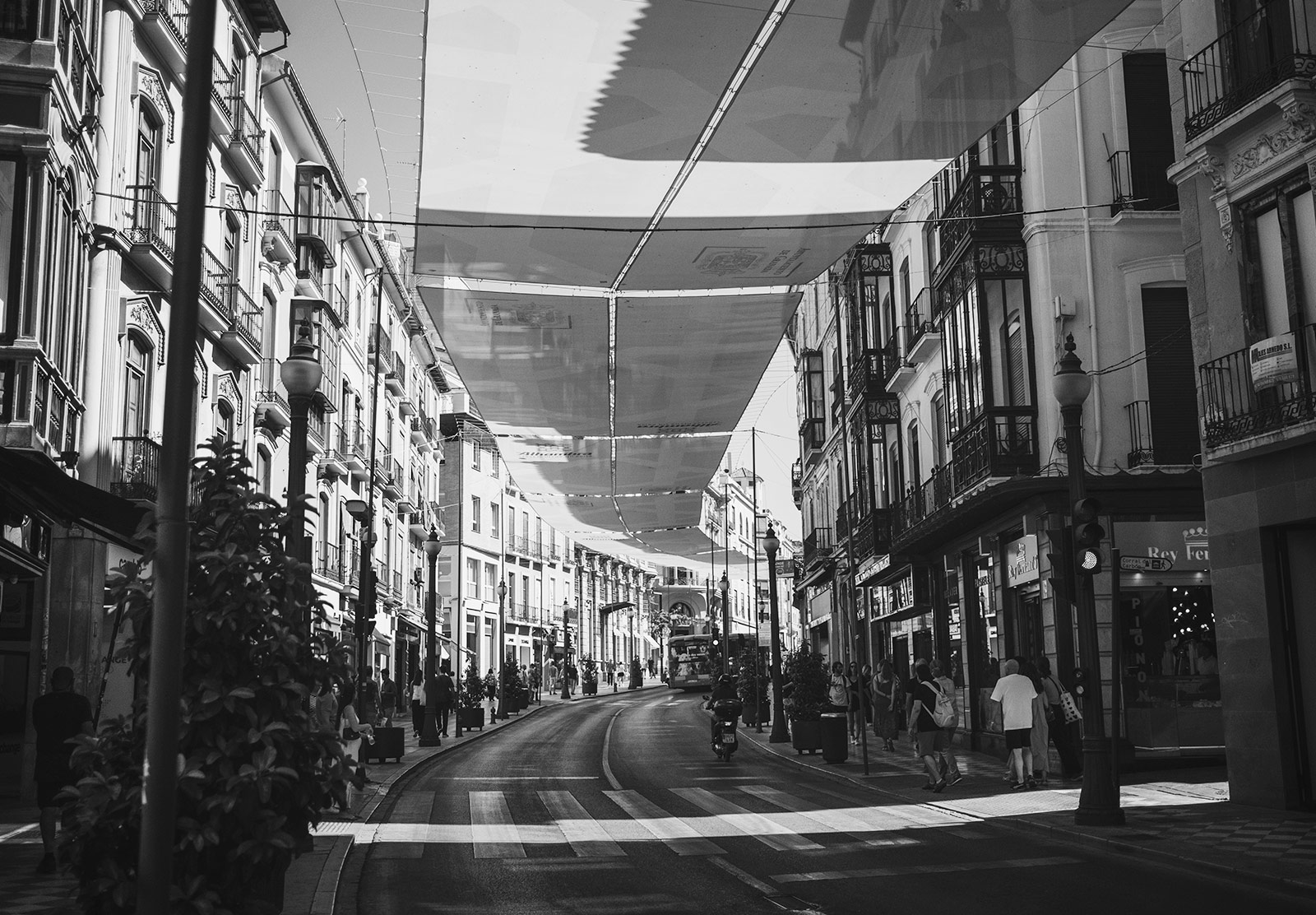 Street under canopy
