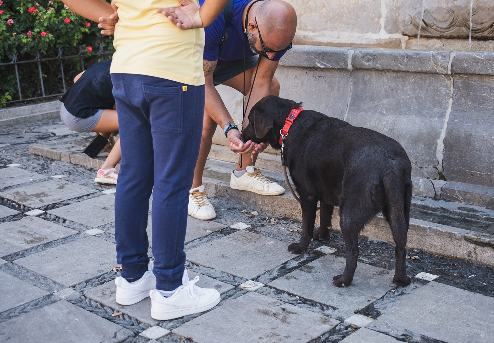 Dog drinking from man's hands