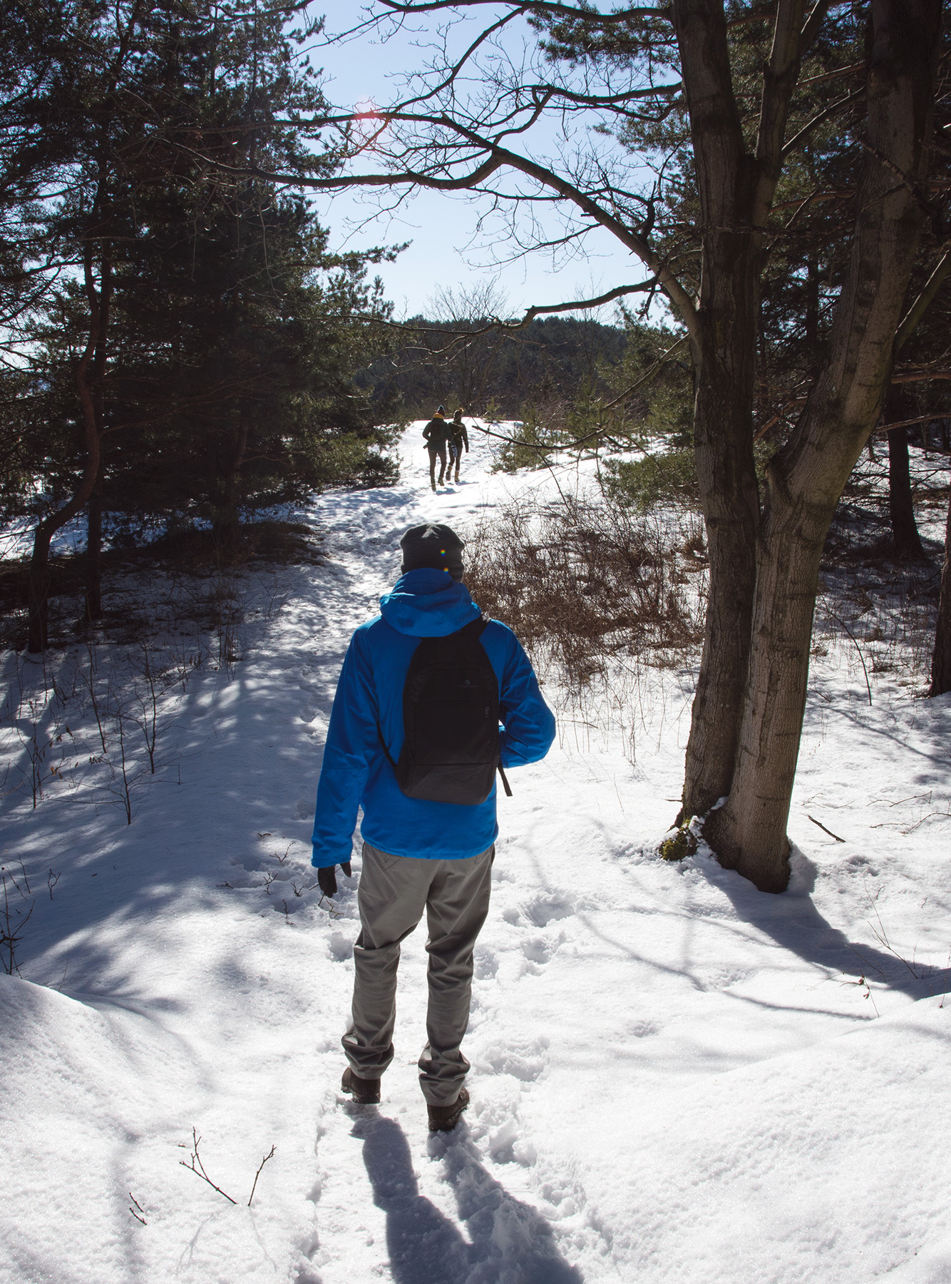 Men walking in the snow