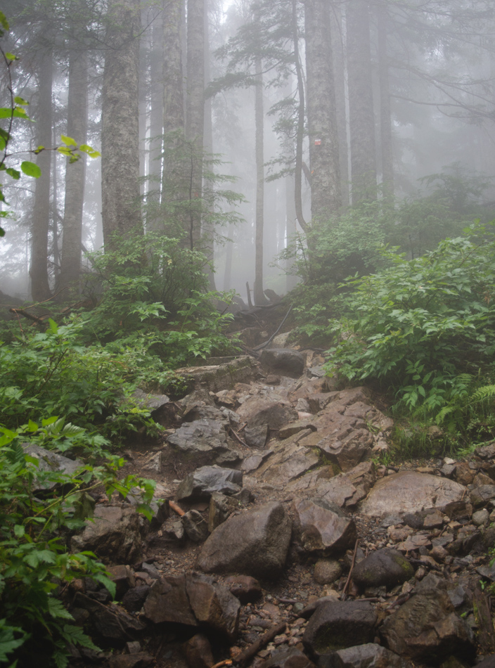 Rocky trail