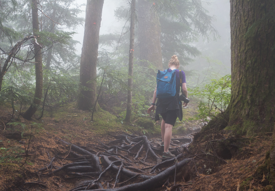 Me hiking up tree roots