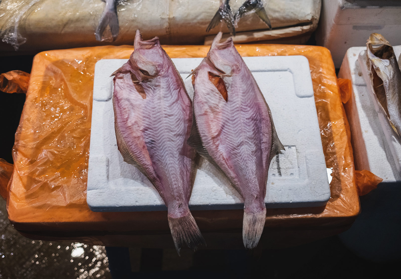 Pair of pink dried fish