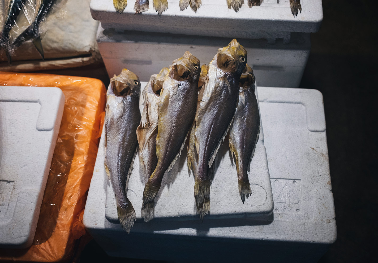 Dried fish