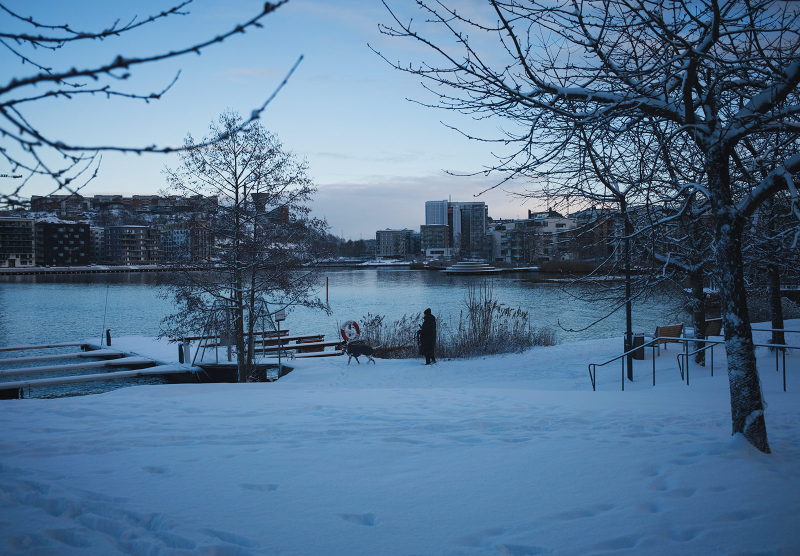 Person walking dog in the snow