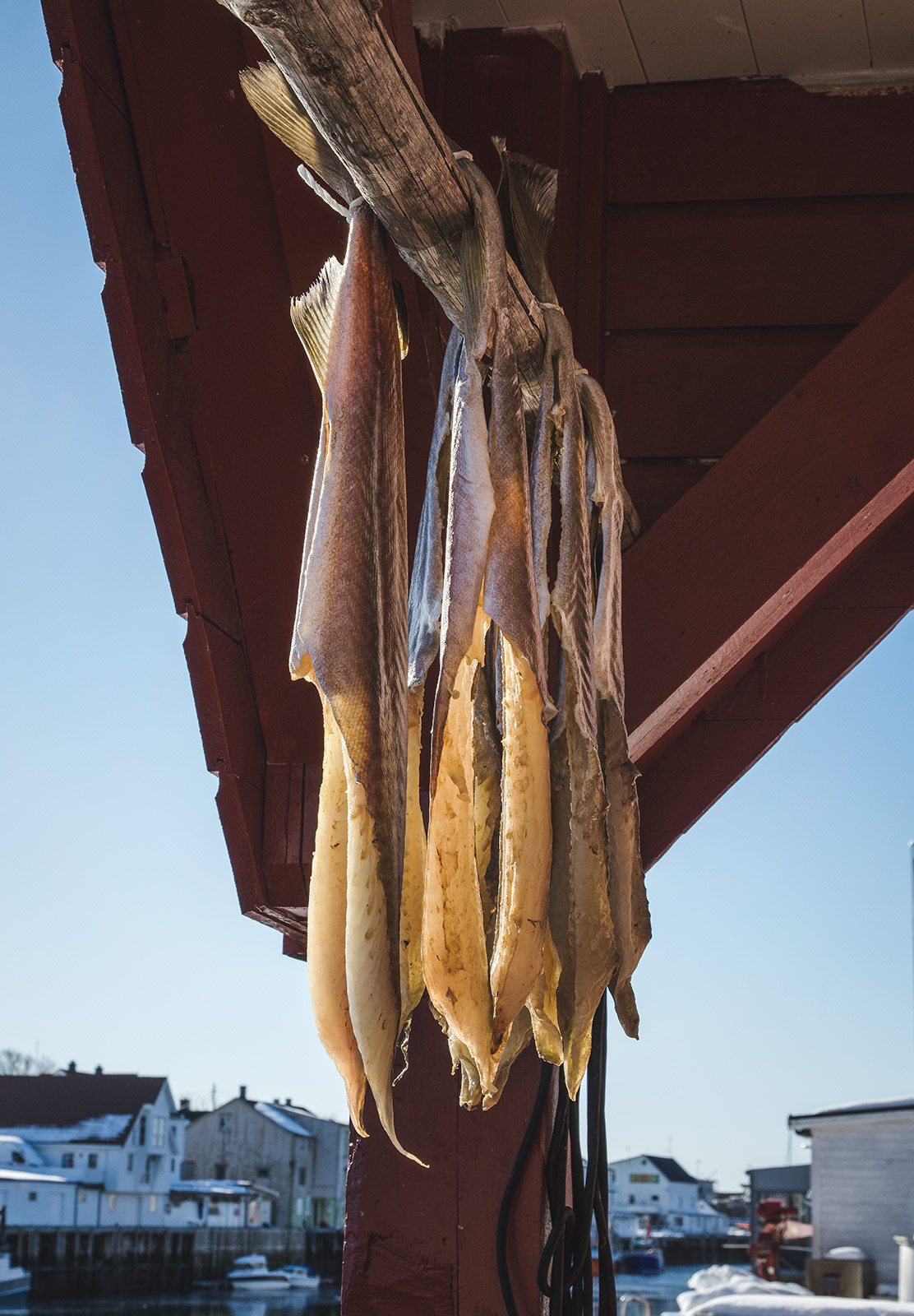 Hanging cod