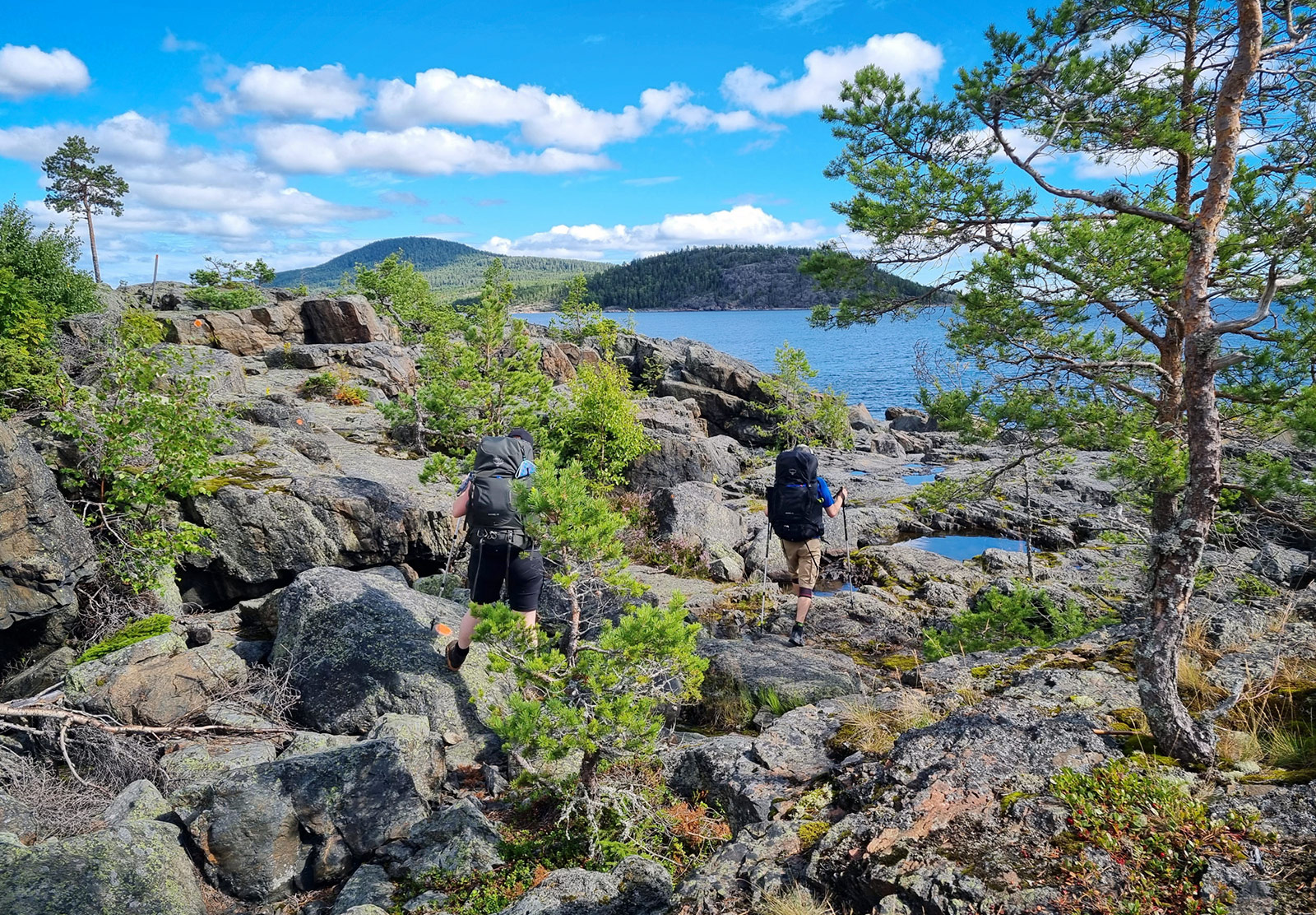 Boulder field