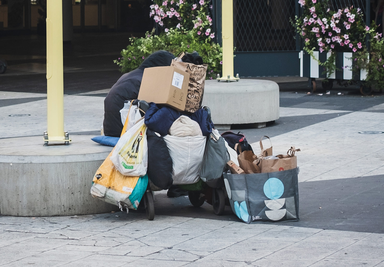 Homeless person with cart and bags