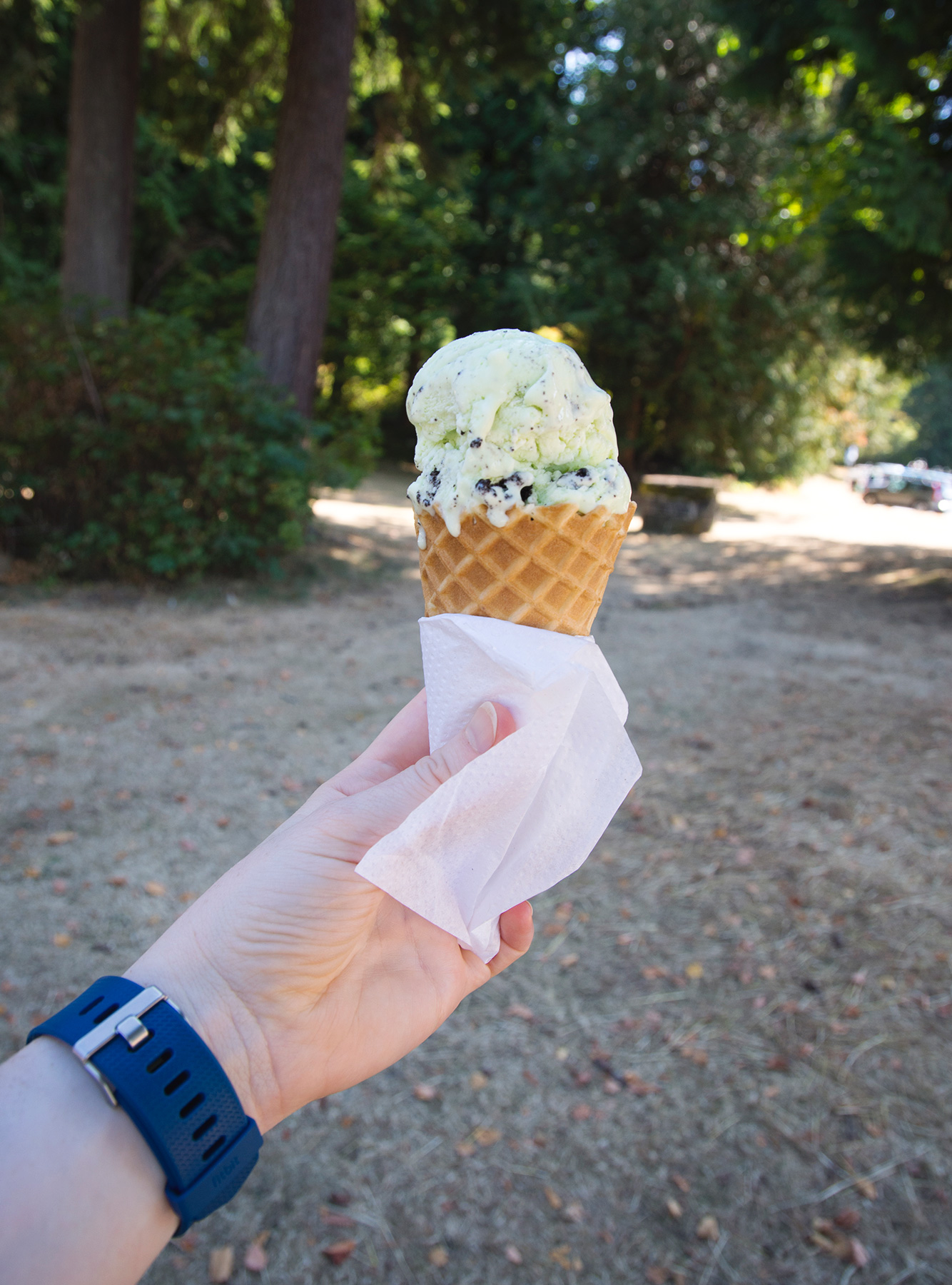 Ice cream in cone