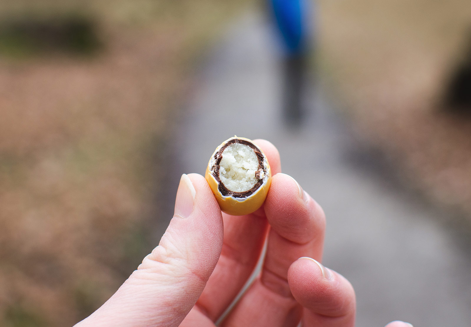 Marzipan egg