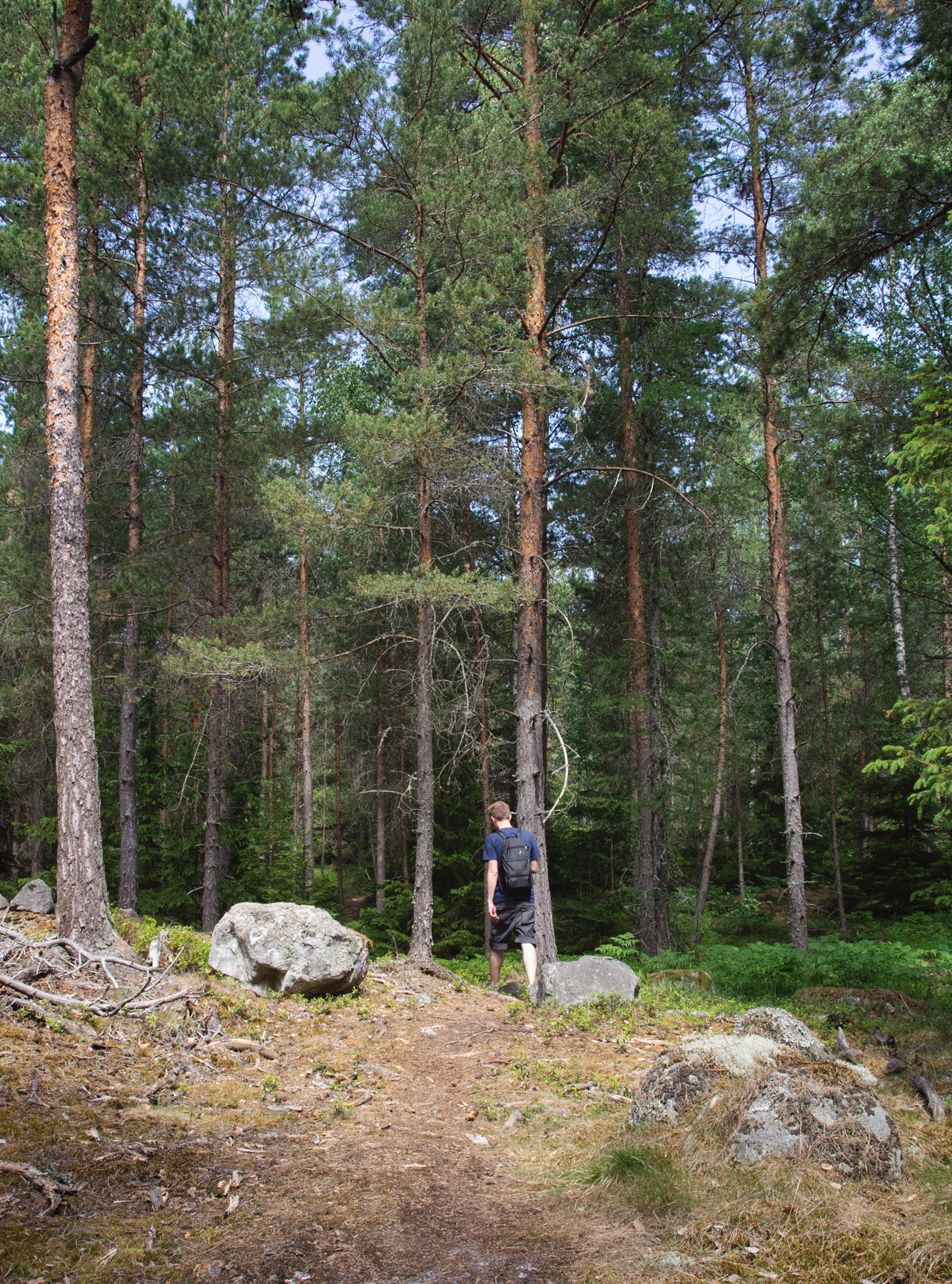 Man walking in tall trees