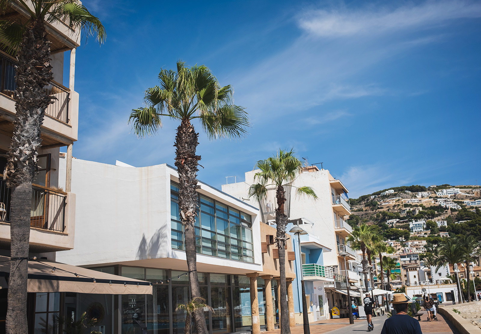 Palm trees next to buildings