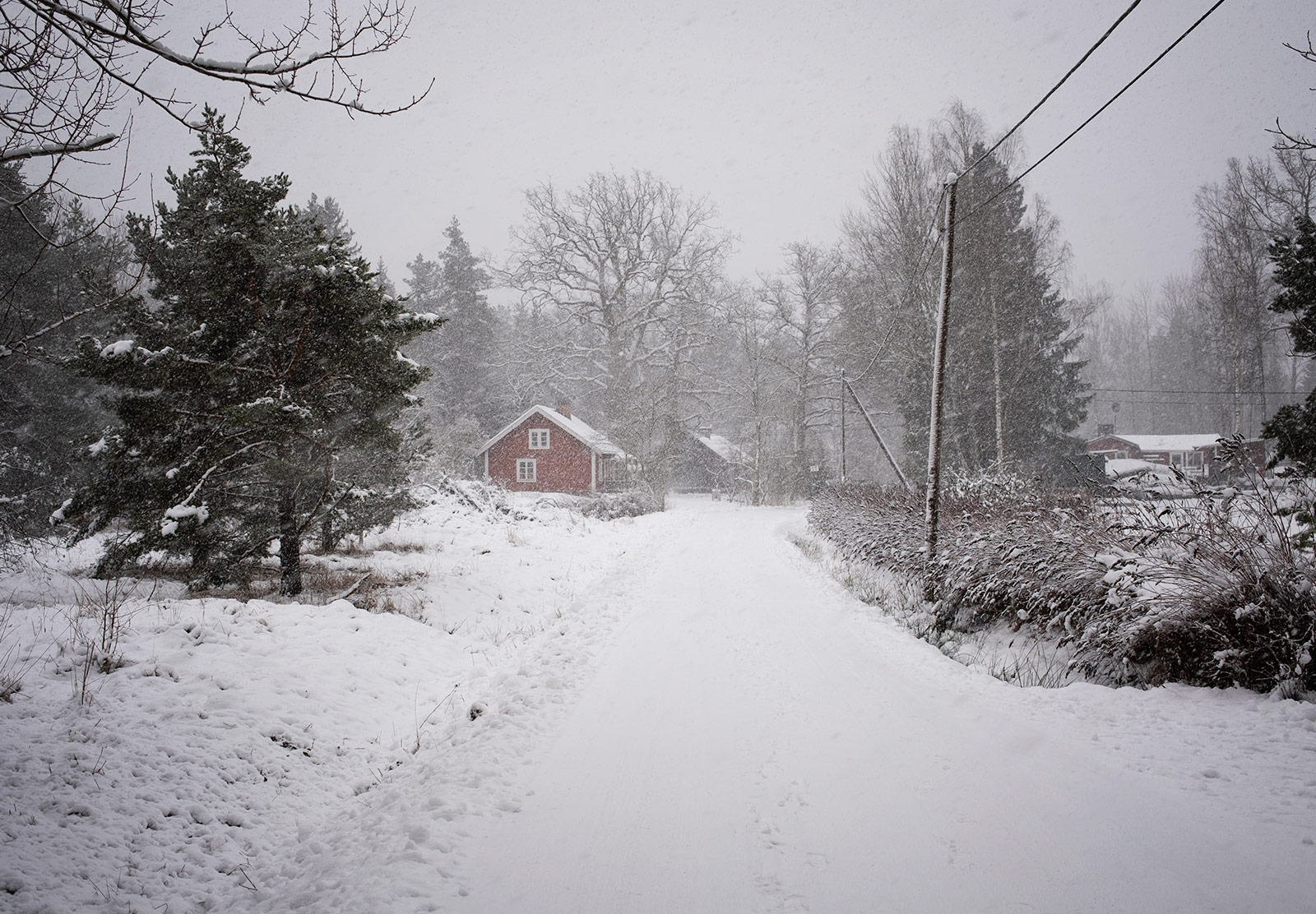 Red house in a blizzard