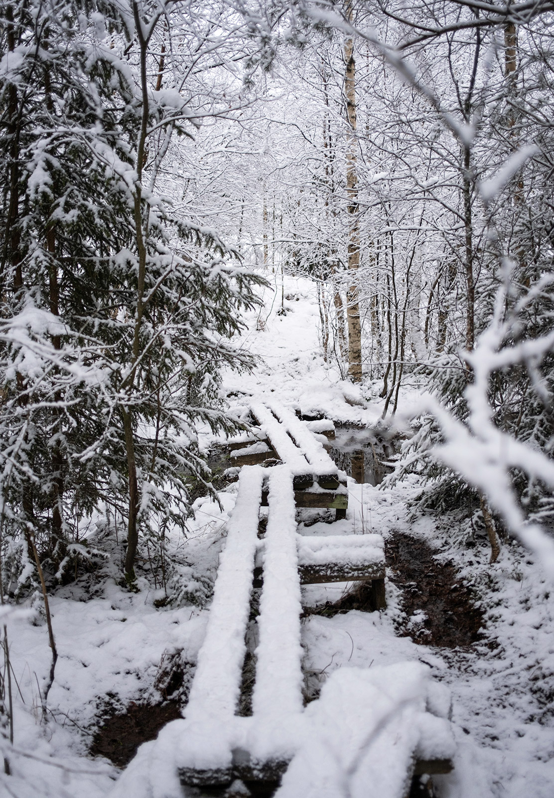 Snow on hiking trail boards
