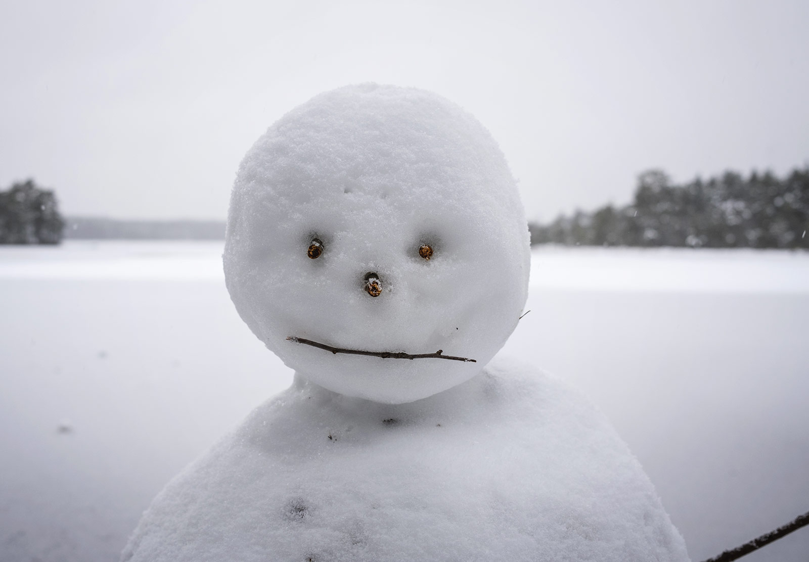 Snowman face