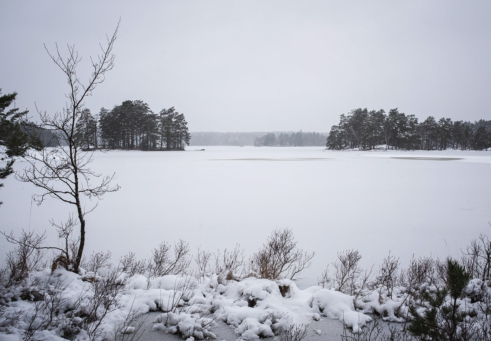 View over frozen lake