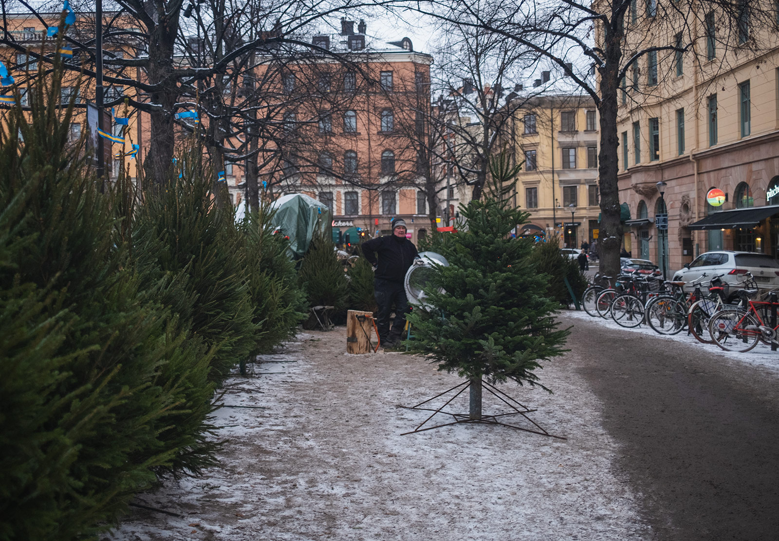Man selling Christmas trees