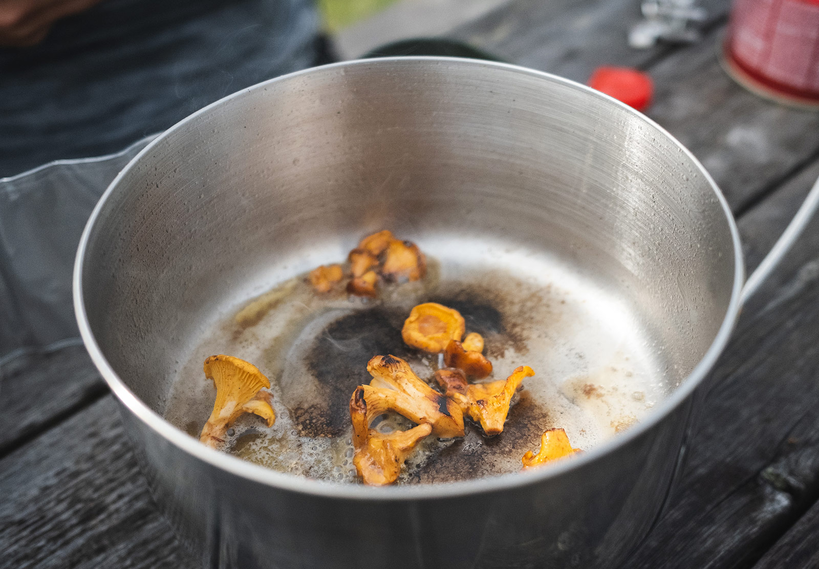 Mushrooms in pan