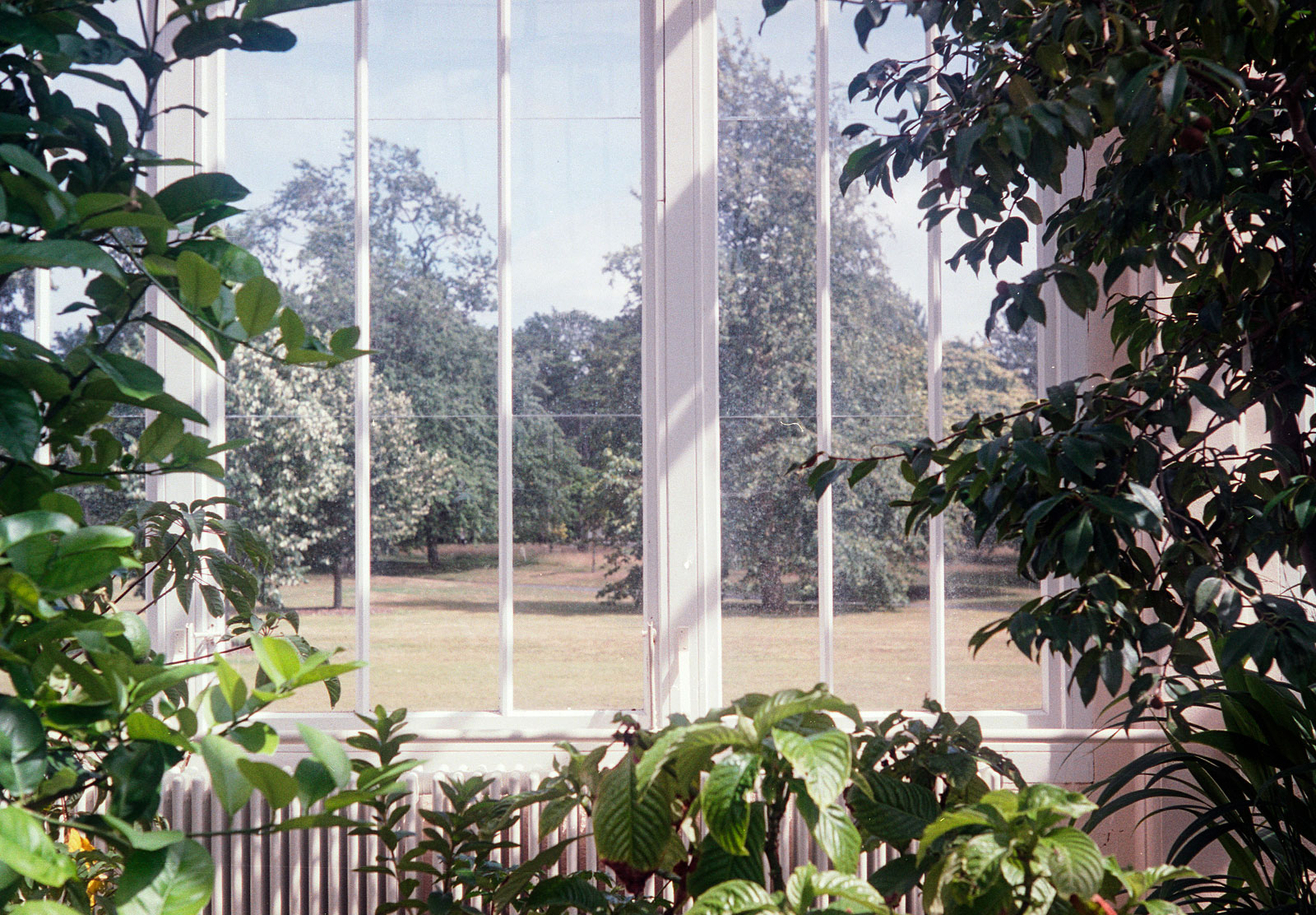 View out of windows