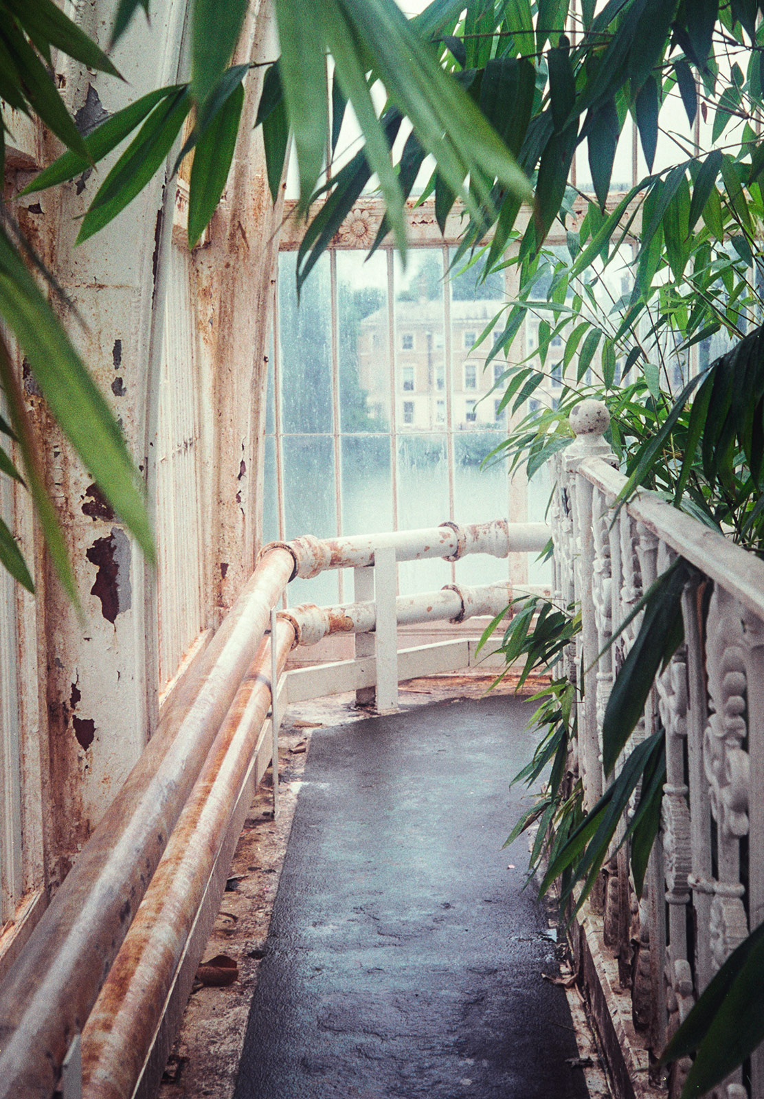 Railings on walkway