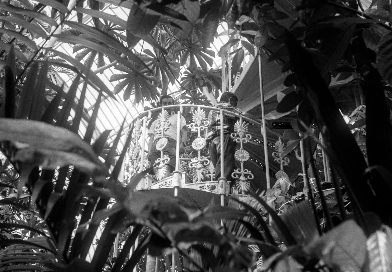 People on spiral staircase