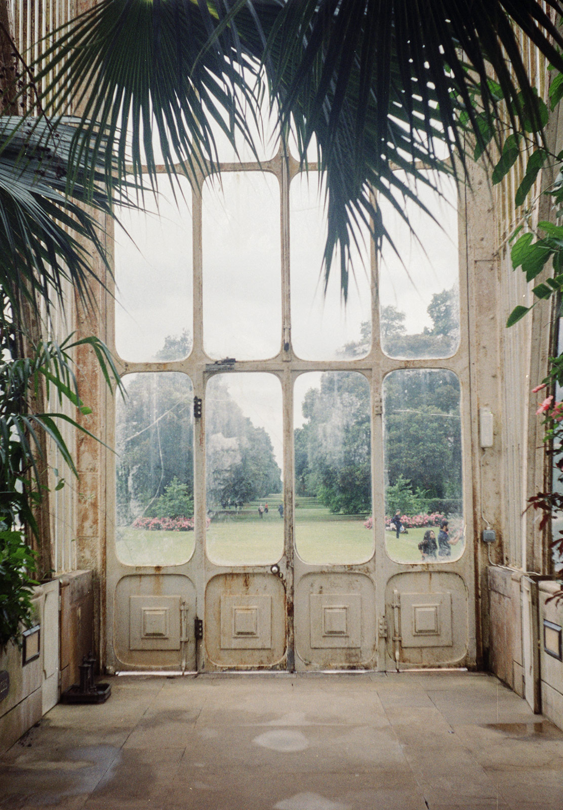 Tall doors