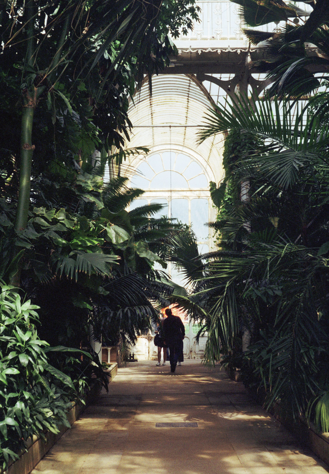 Palm leaves covering tall doors