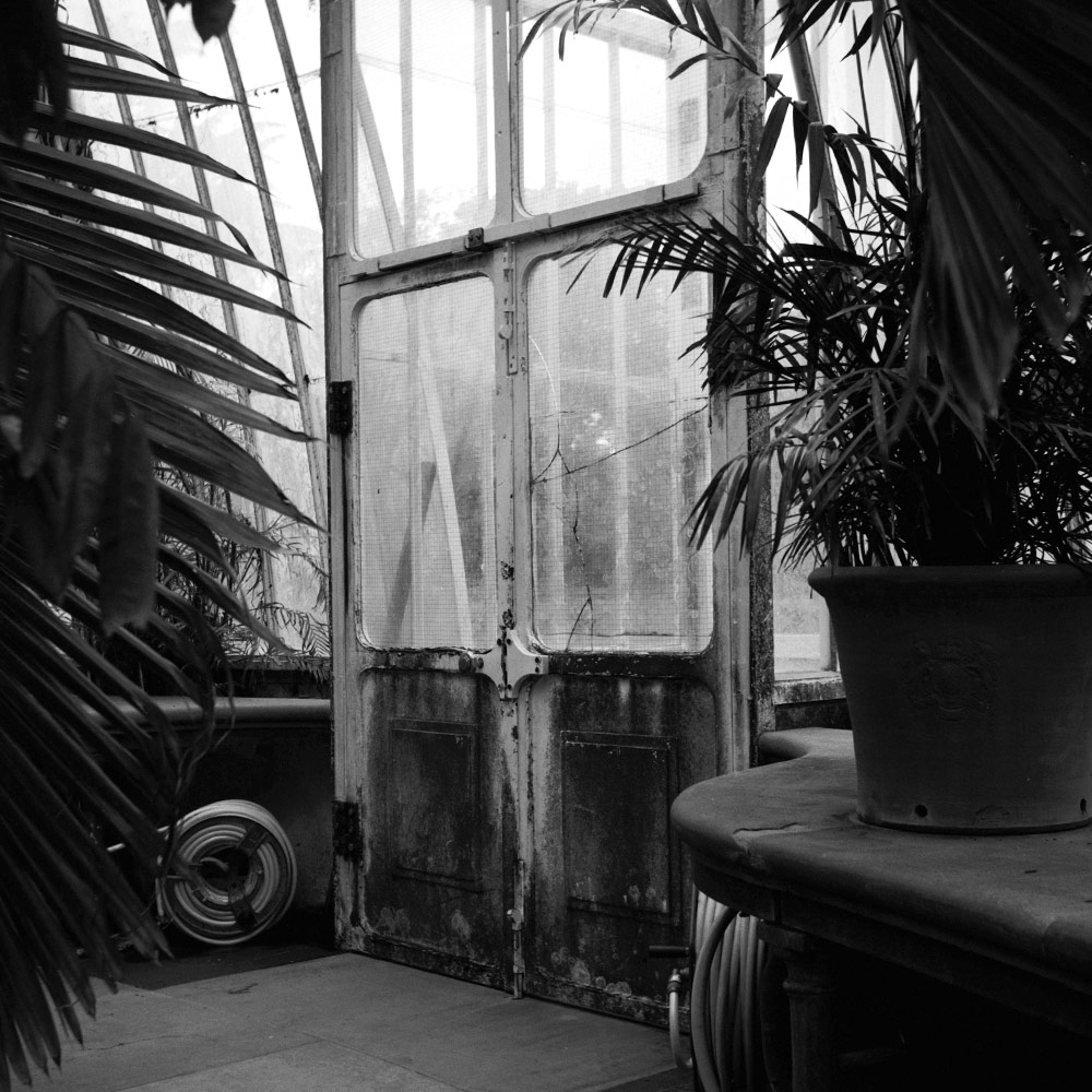 Metals doors through leaves