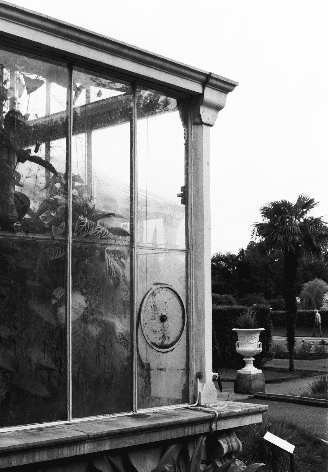 Side of glasshouse