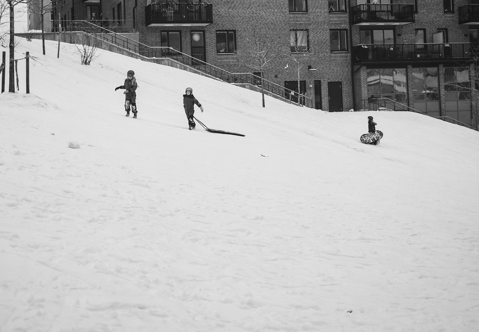 Kids on snow sledges
