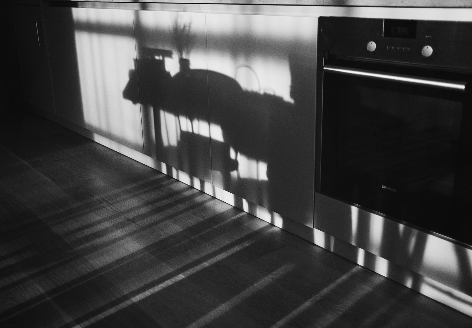 Silhouettes in kitchen