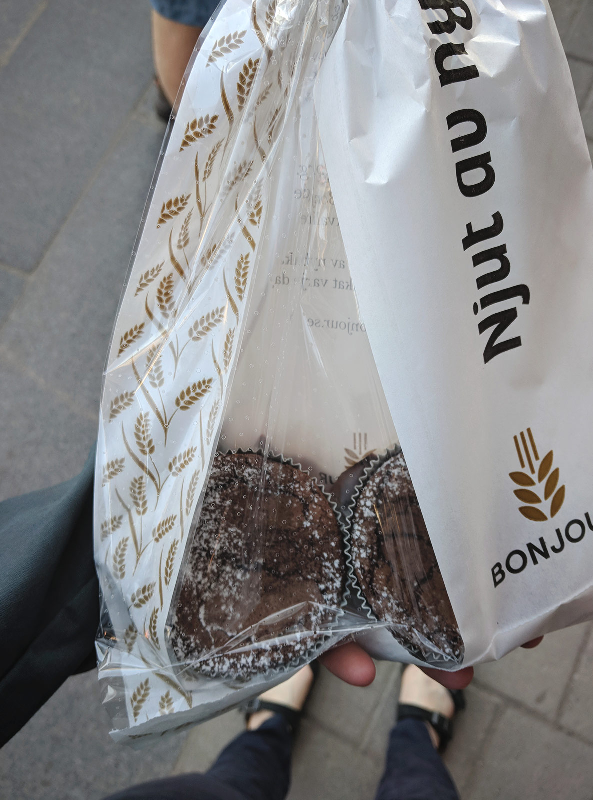 Chocolate cakes in bag