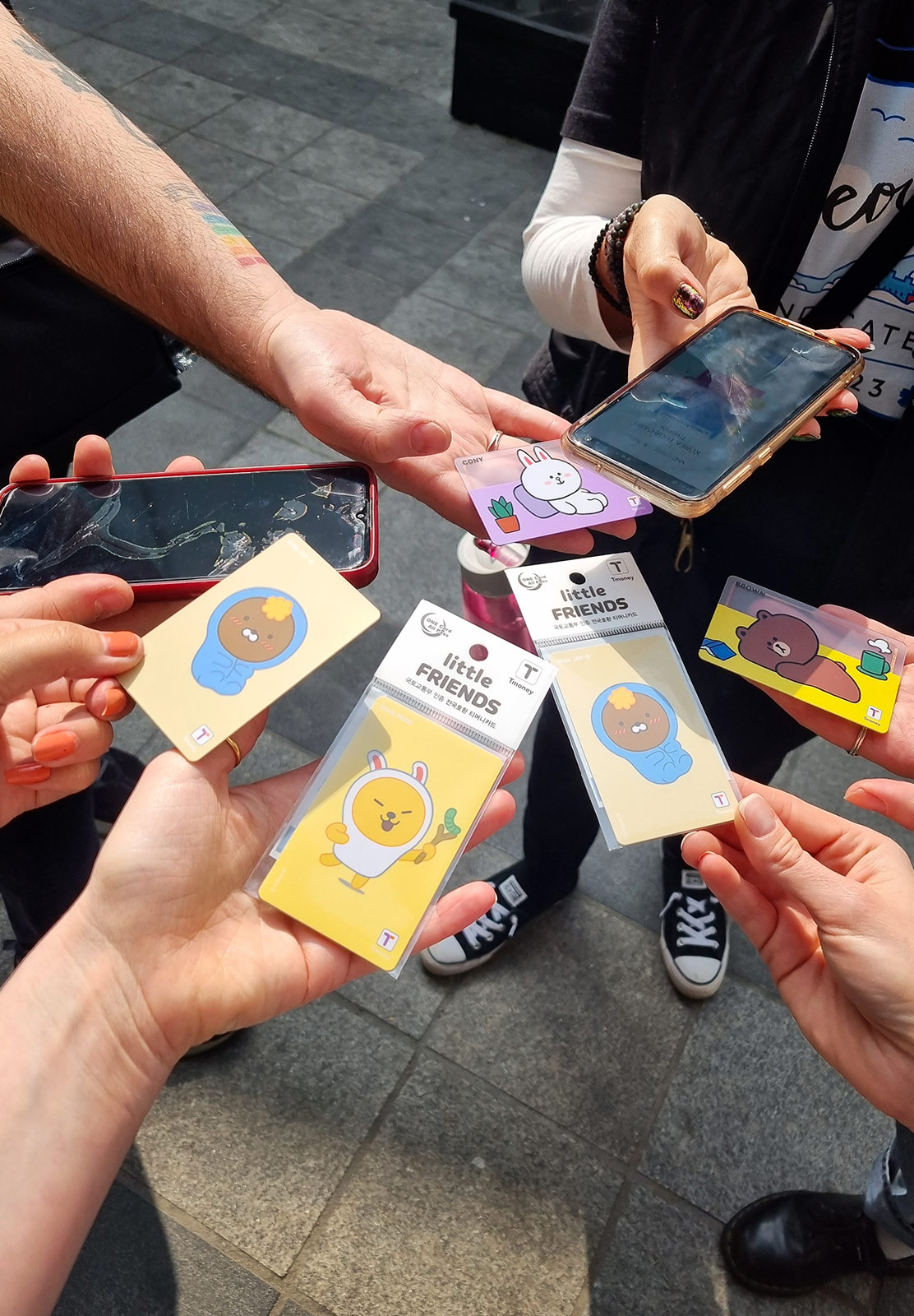 Illustrated transport cards