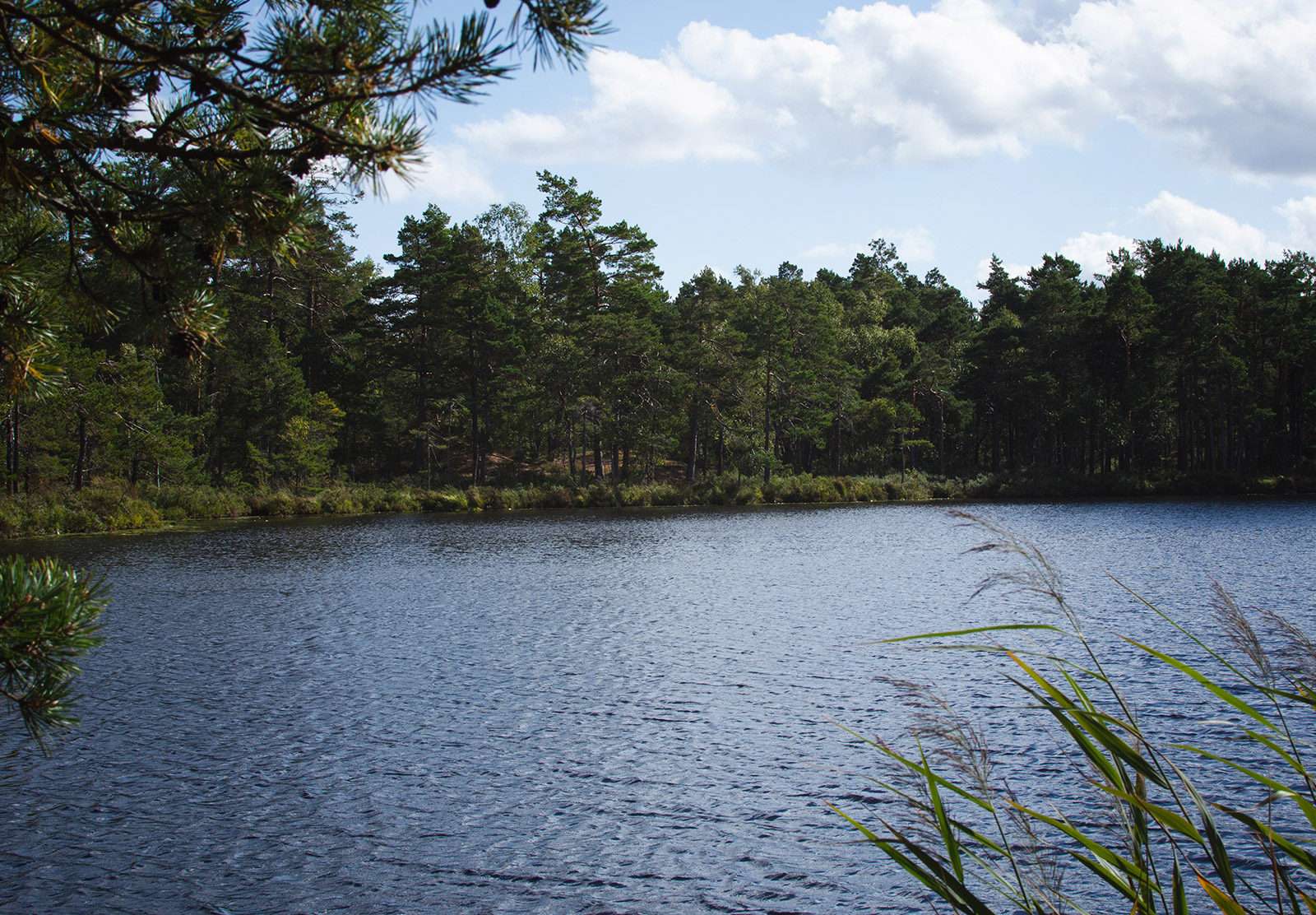 Lake water