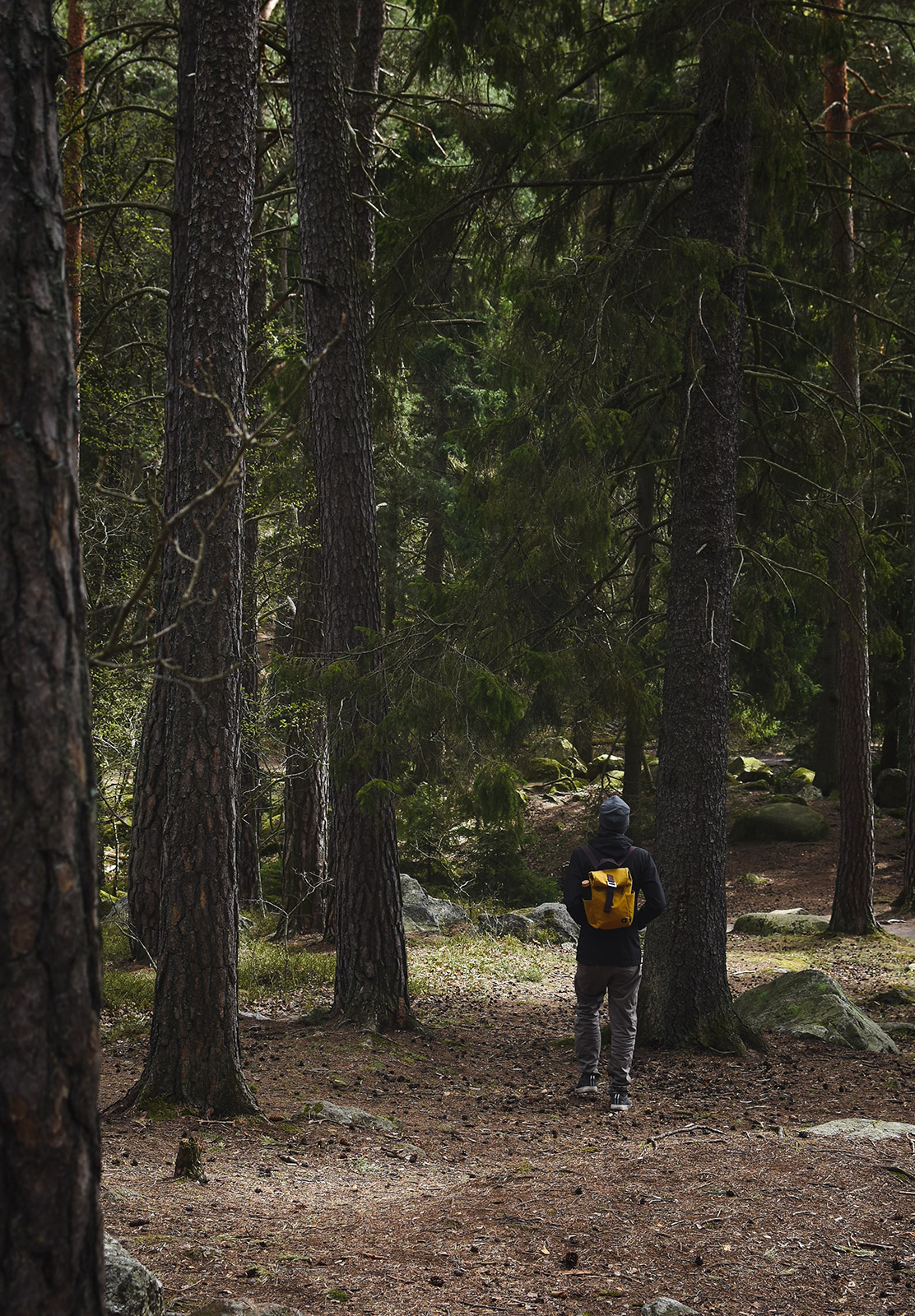 Man walking in forest