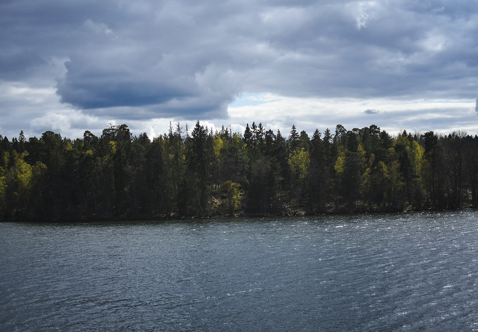 Tree lined lake